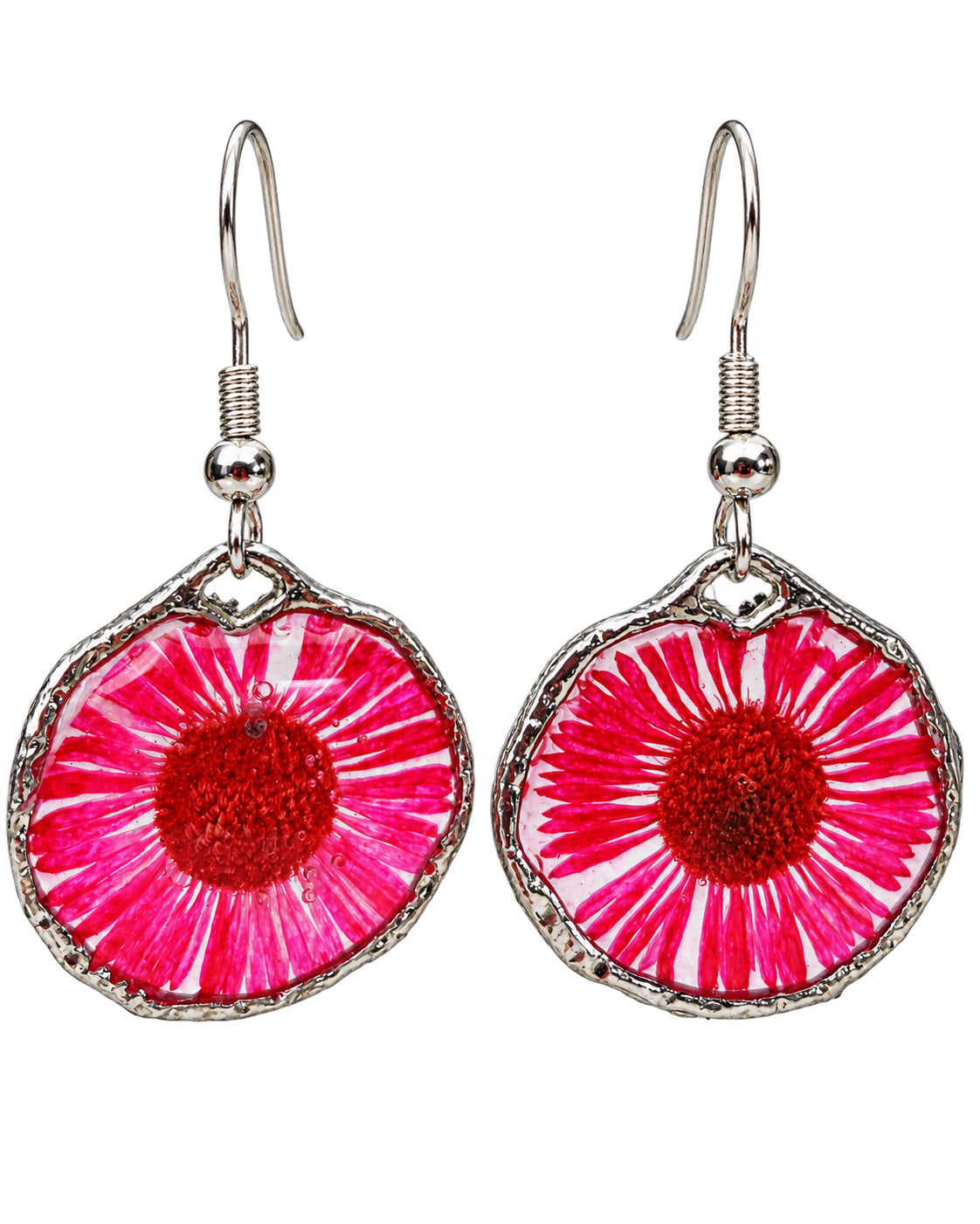 Red daisy