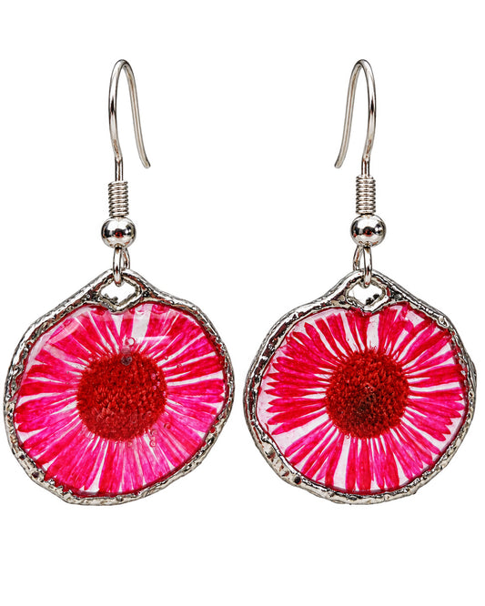 Red daisy